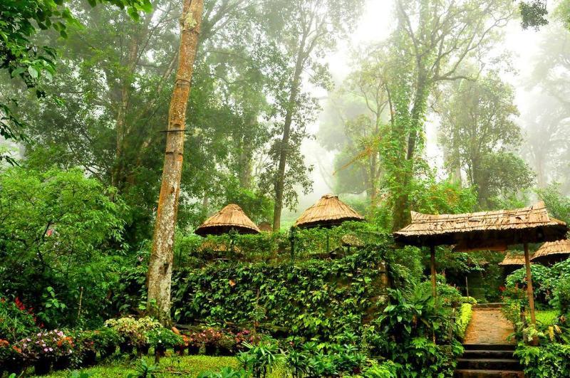 The Tall Trees Munnar Buitenkant foto