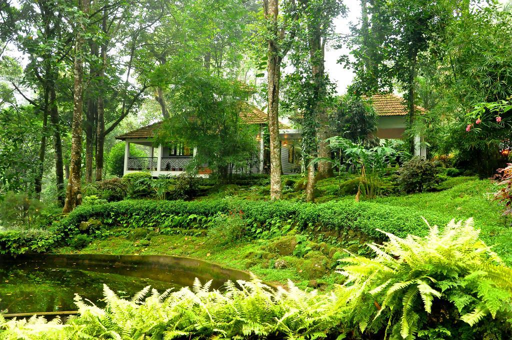 The Tall Trees Munnar Buitenkant foto
