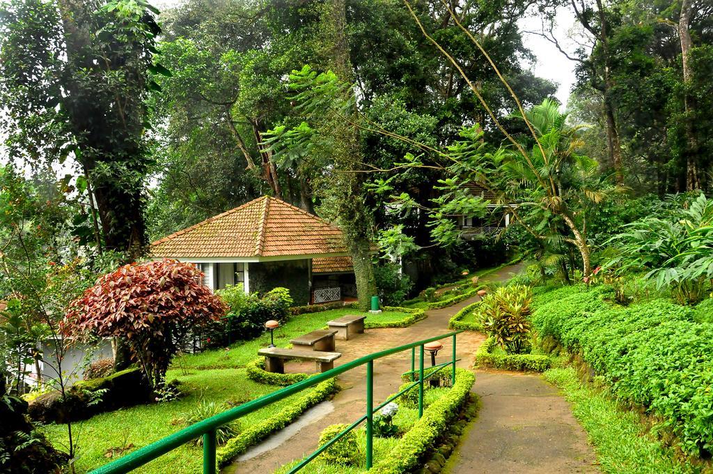 The Tall Trees Munnar Buitenkant foto