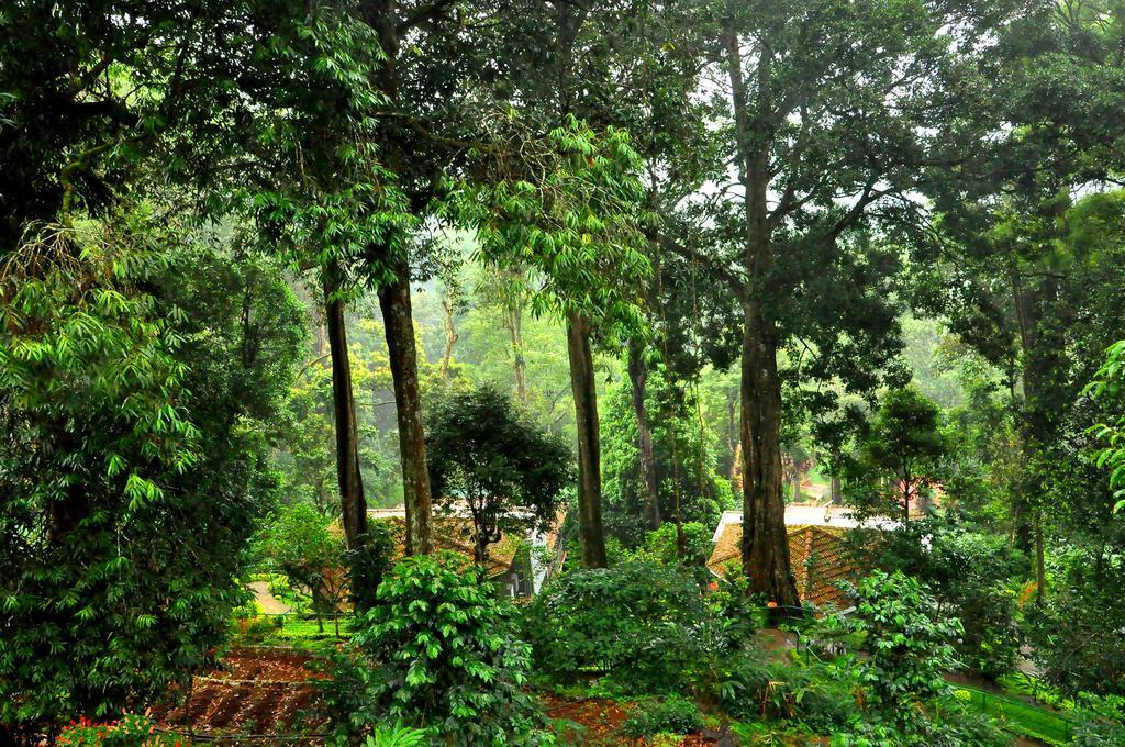 The Tall Trees Munnar Buitenkant foto