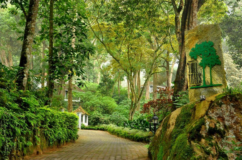 The Tall Trees Munnar Buitenkant foto