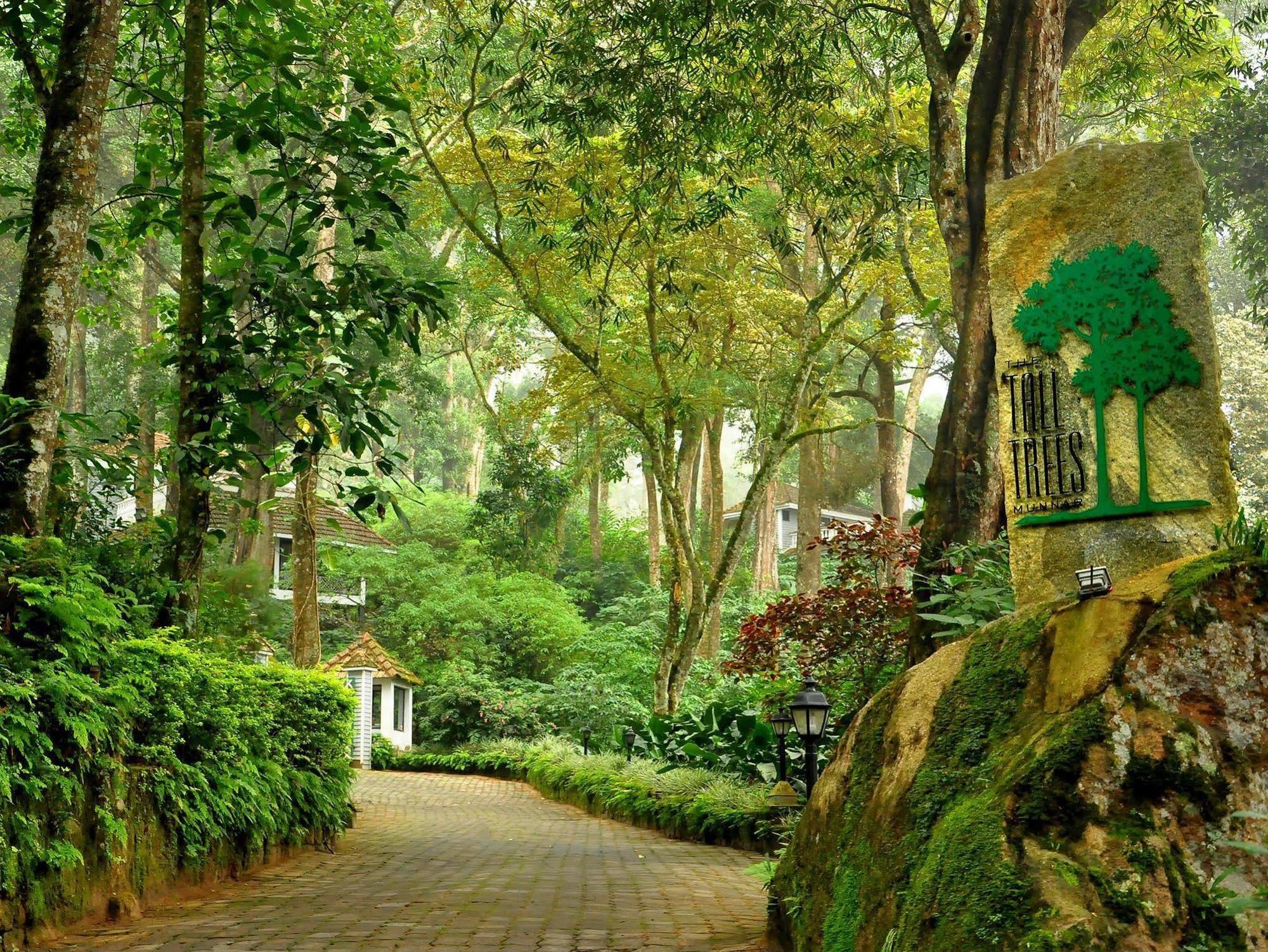 The Tall Trees Munnar Buitenkant foto