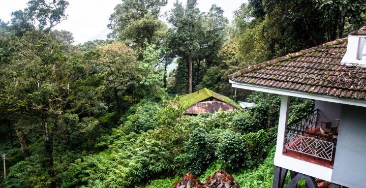The Tall Trees Munnar Buitenkant foto