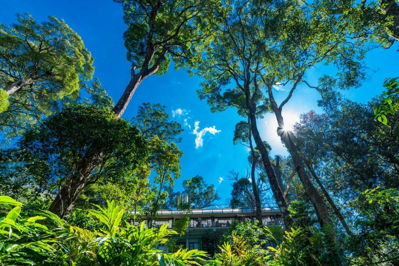 The Tall Trees Munnar Buitenkant foto