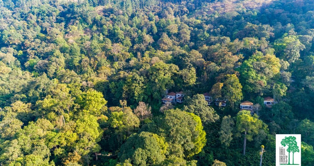 The Tall Trees Munnar Buitenkant foto