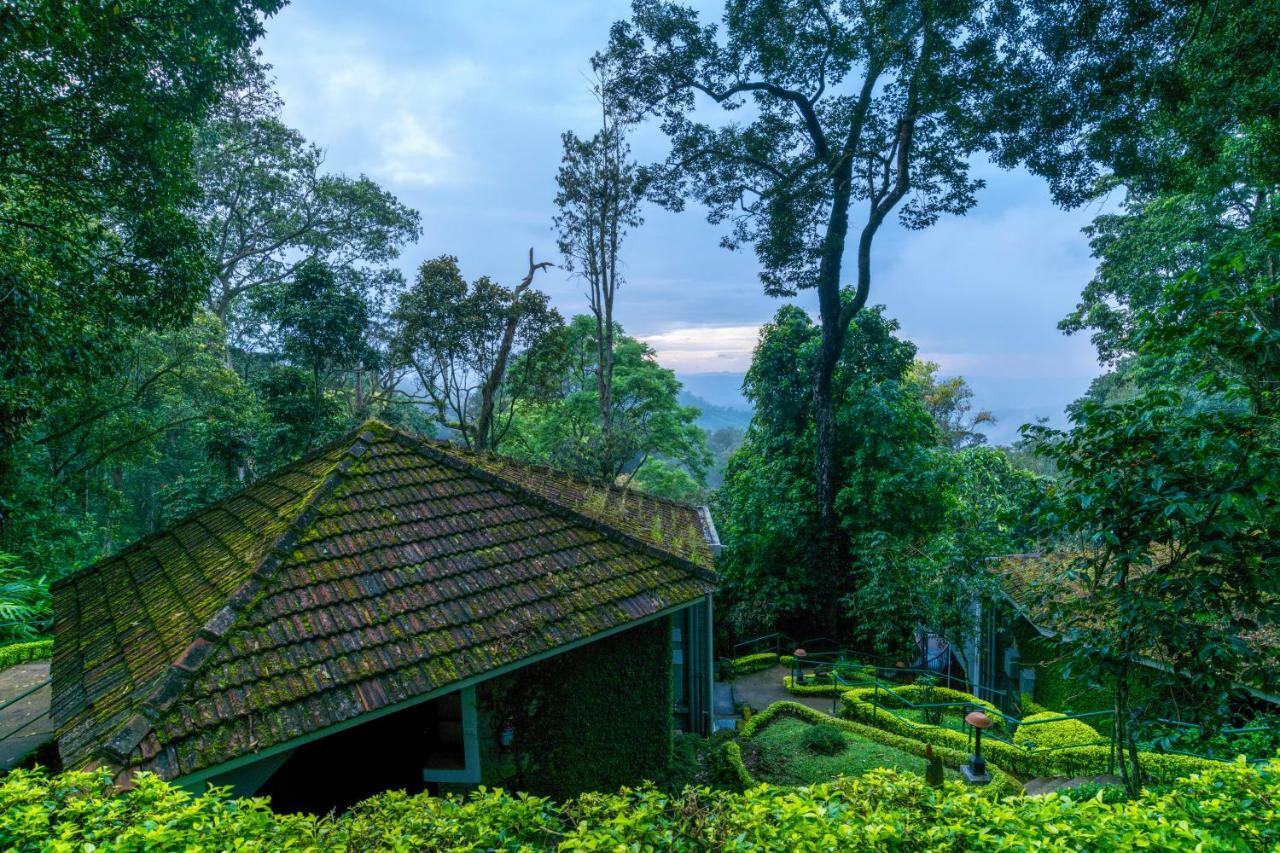 The Tall Trees Munnar Buitenkant foto