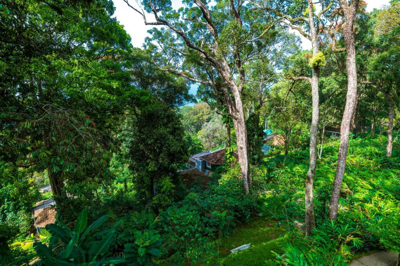 The Tall Trees Munnar Buitenkant foto